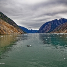 Endicott Arm
