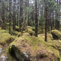 Mendenhall Glacier Recreational Area Mendenhall Glacier Recreational Area