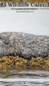 Calendar Cover Calendar Cover