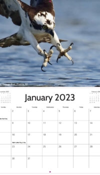 January Calendar January Calendar