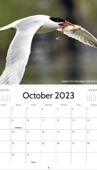 October Calendar October Calendar