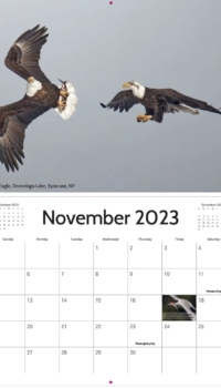 November Calendar November Calendar