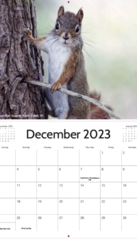 December Calendar December Calendar