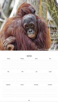 December Calendar December Calendar