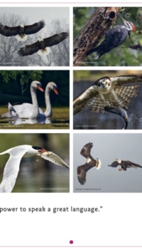 Calendar Back Cover Calendar Back Cover