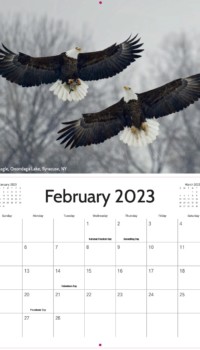 February Calendar February Calendar