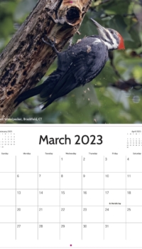 March Calendar March Calendar