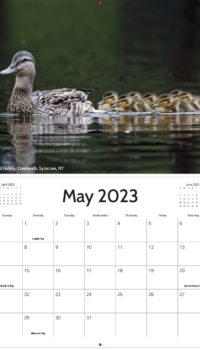 May Calendar May Calendar
