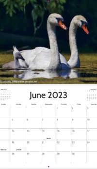 June Calendar June Calendar