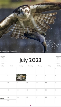 July Calendar July Calendar