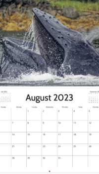 August Calendar August Calendar