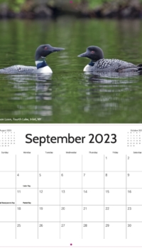 September Calendar September Calendar