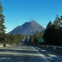 Mount Shasta