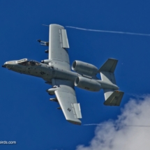 A-10 Warthog