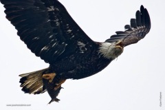 Adult with a funny look
