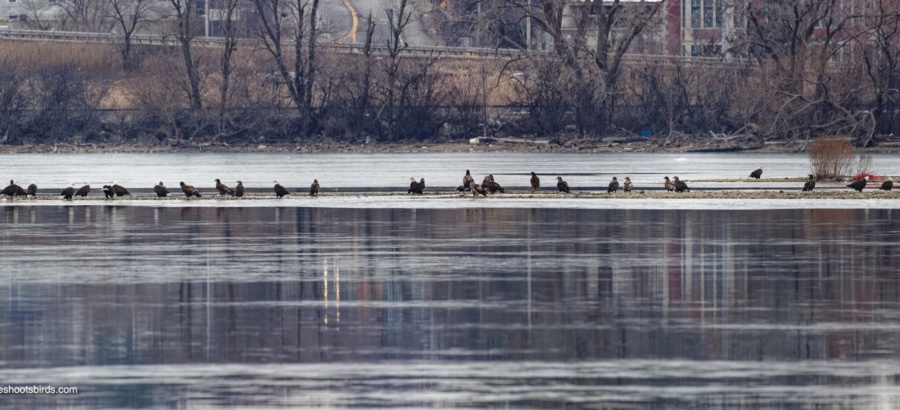 Winter at Onondaga Lake