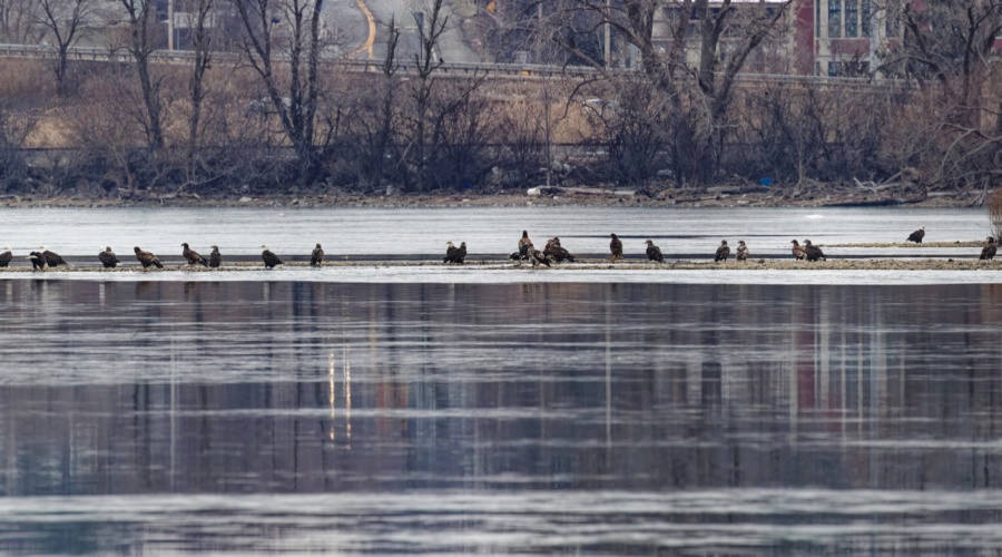 Winter at Onondaga Lake