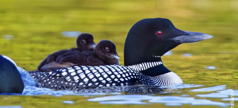 How did you get that shot?