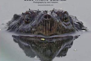 2026 Calendar now available