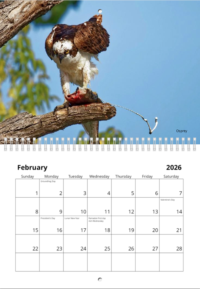 2026 Pooping Wildlife Calendar - Image 3